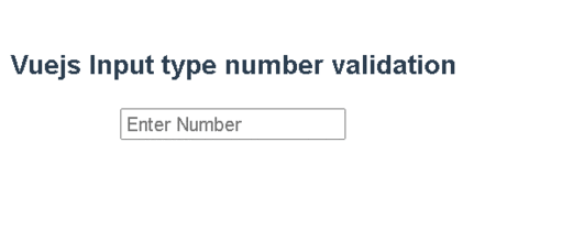 Vue js Input type number form validation example