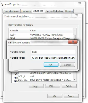 SVN install path settings
